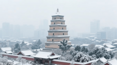 西安正轨旅行社前十名 2026：避坑指南取实力排行